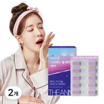 이너셋 스트레스 엘 테아닌 케어 36g, 2개