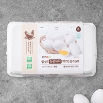 곰곰 동물복지 백색유정란 15구, 1개
