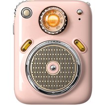 앱코 BEATONIC 블루투스 스피커, BSA20, 핑크