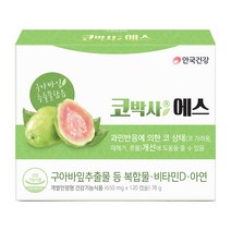 안국건강 코박사에스 영양제, 120캡슐, 1개
