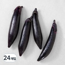 국내산 가지, 4개입, 6개