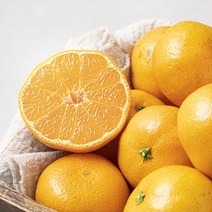 강서시장 새벽경매 서귀포 노지 감귤, 5kg(2S~M), 1팩