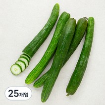 못생겨도 맛있는 취청오이, 5개입, 5개