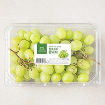 만나다 페루산 씨없는 청포도, 900g, 1개