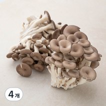GAP 인증 국내산 맛타리버섯, 300g, 4개