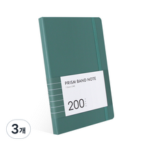 인디고 프리즘 200 밴드노트 라인, 블루그린, 3개