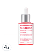 어퓨 산뽕나무 잡티 앰플, 30ml, 4개