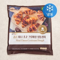 곰곰 미니 초코 크루아상 냉동생지, 1개, 645g