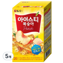 담터 복숭아 홍차, 14g, 20개입, 5개