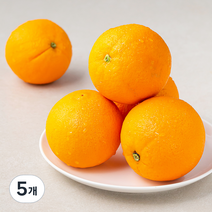 곰곰 호주산 카라카라 오렌지, 1.2kg, 5봉