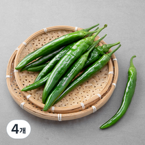 곰곰 친환경 오이고추, 300g, 4개