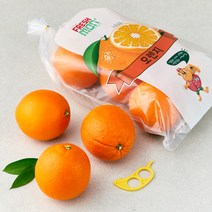 [쿠팡직수입] 프레시몬 오렌지 + 오렌지칼, 1.8kg(7~10입), 1개