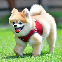 퍼피아 강아지고양이 소프트베스트 하네스 2, 와인