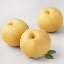 곰곰 천안 GAP 저탄소 당도선별 배(대), 1.8kg, 1팩
