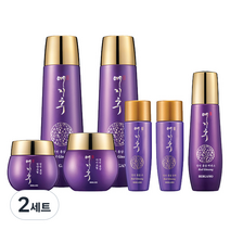 예지후 영빈 홍삼 5종세트, 2세트