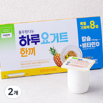 풀무원다논 하루요거트 오트 파인애플, 800g, 2개