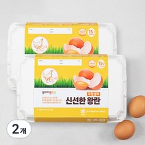 곰곰 무항생제 신선한 왕란, 15구, 2개