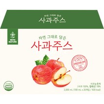 네이쳐브릿지 자연 그대로 담은 사과주스, 100ml, 20개