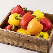 곰곰 국내산 못난이 파프리카, 2kg, 1개