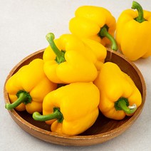 노랑파프리카 국내산, 1kg, 1개