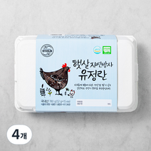 양지뜨레 무항생제 자연방사 유정란 1번란 15구, 4개