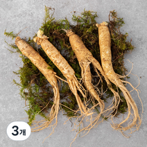 금산 인삼, 150g, 3개