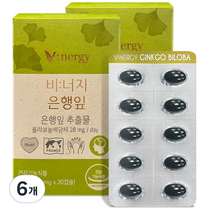 비너지 은행잎 영양제, 6개, 12g