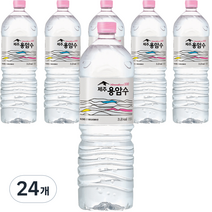 제주용암수, 2L, 24개