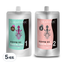 갈라토닉 스퀴드 잉크칼라 새치염색 1제 500ml + 2제 500ml, 3N 짙은갈색, 5세트