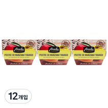 아넬라 첫시작 리얼 과일 디저트 세트, 망고, 100g, 12개입