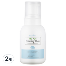 팜트리 더순한 포밍워시, 300ml, 2개