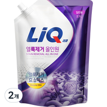 리큐 얼룩제거 올인원 액상세제 일반용 리필, 2.1L, 2개