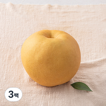 원농산 당도선별 신고배, 3팩, 800g