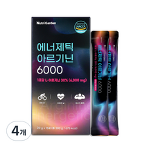 뉴트리가든 에너제틱 아르기닌 6000 15p, 15포, 300g, 4개