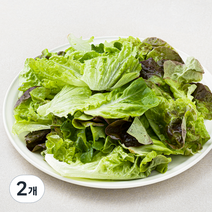 팜에이트 무농약 인증 유러피안 샐러드, 130g, 2개