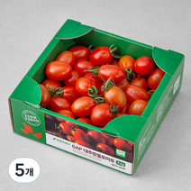 GAP 대추방울토마토, 1kg, 5개