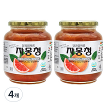 견과공장 자몽청, 950g, 1개, 4개