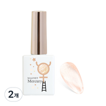 마그넷젤 밀키웨이 컬러젤 10ml, Mercury, 2개