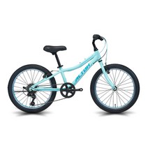 알톤스포츠 2022년형 엑시언 207 MTB자전거 (미조립 박스배송), 135cm, 민트