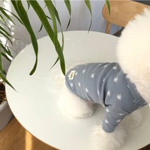 매그독 강아지 데이지 티셔츠, 블루