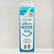 맛있는우유GT 소화 잘되는 배 안아픈 락토프리 단백질 우유, 900ml, 1입