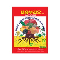 대유 부리오, 1개, 500g