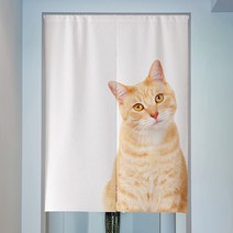 마켓A 고양이 패브릭 린넨 파티션커튼