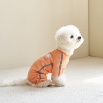 울리 반려견 빛반사 트레이닝복, 피치