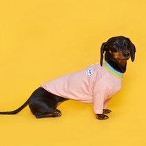 플로트 강아지 레인보우 코지 티셔츠, 피치