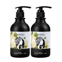 테이크어필 올인원 바디워시 앤 샴푸 블랑쉐, 2개, 500ml