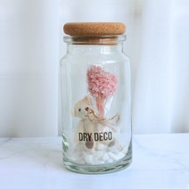 드라이데코 프리저브드 스타플라워 곰돌이 화병 250ml, 핑크