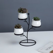 나스카피 트리 다육이 철제 인테리어 화분, 블랙