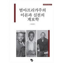범아프리카주의 이론과 실천의 계보학, 아프리카