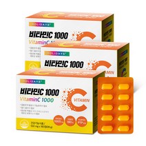 홀리데이즈 비타민C 1000 영양제 99g, 3개, 180정